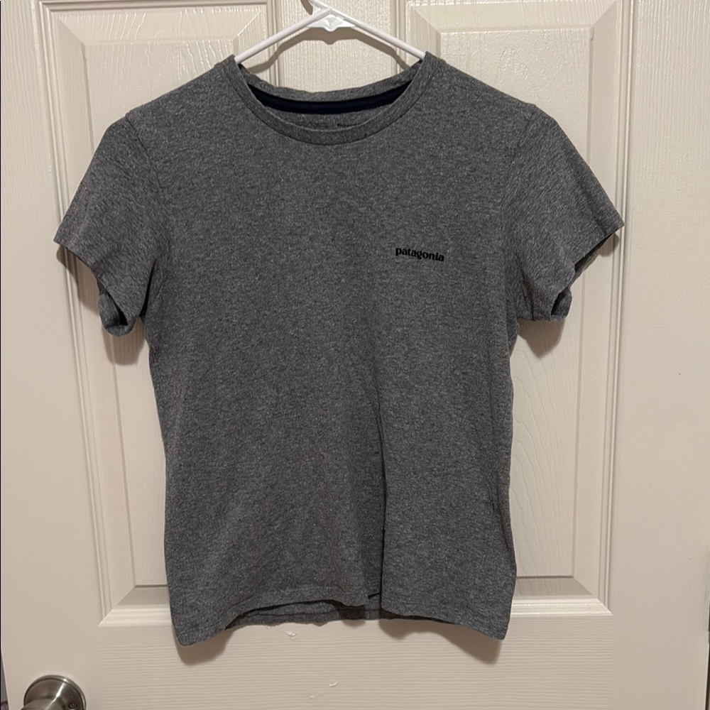 Patagonia Gray and Navy Tee